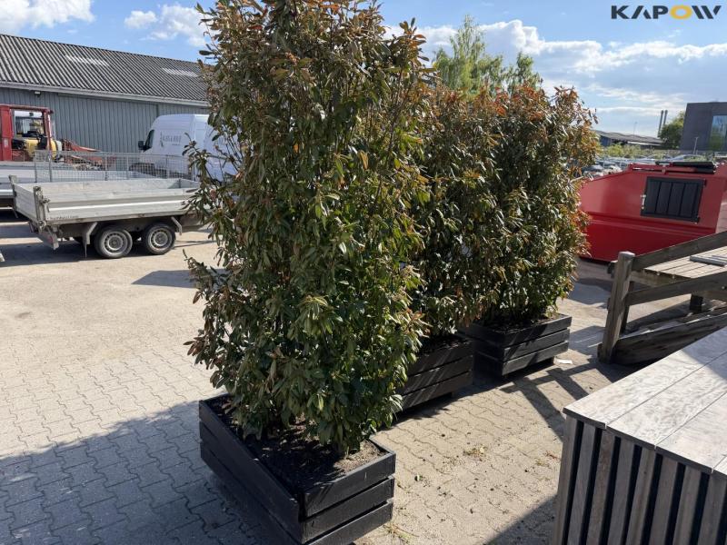 Plantebokse - 4stk. 7