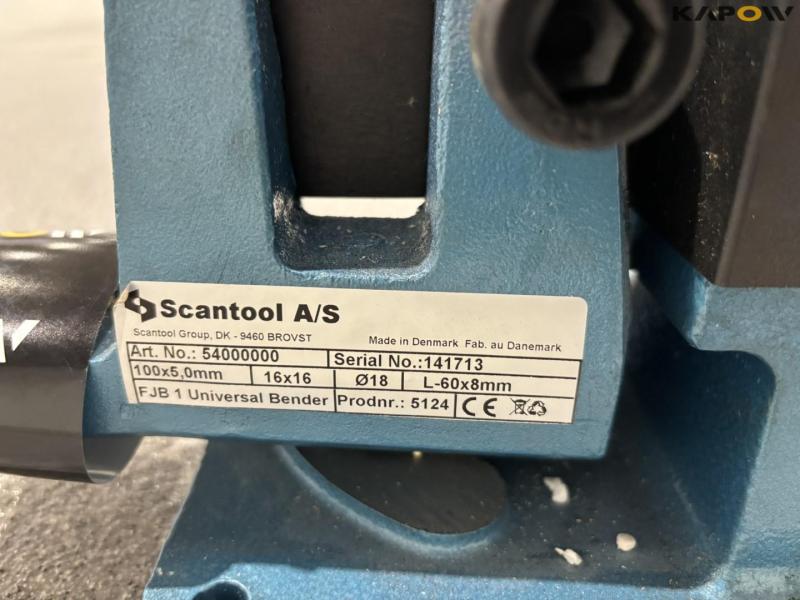 Scantool fladjernsbukker 10