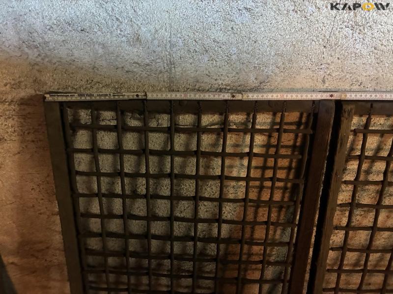 Skals kartoffel sorteringsmaskine 79