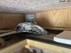 Skibscontainer - 20fods 48
