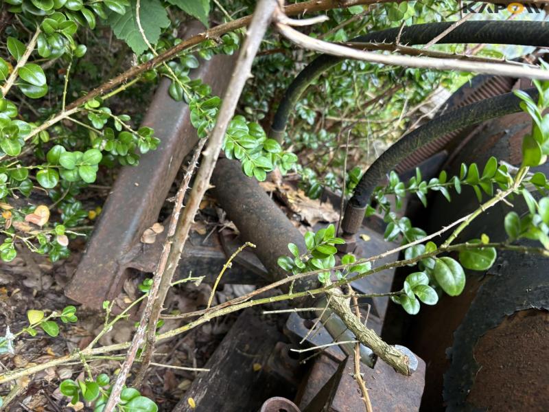 Sneskraber 165 cm 10