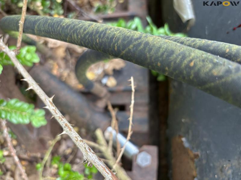 Sneskraber 165 cm 11