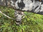 Thompson dumpervogn 14 ton 12