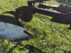 To furet engplov 23