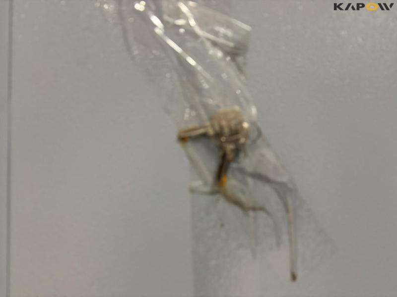 Værkstedsskab og reol 8