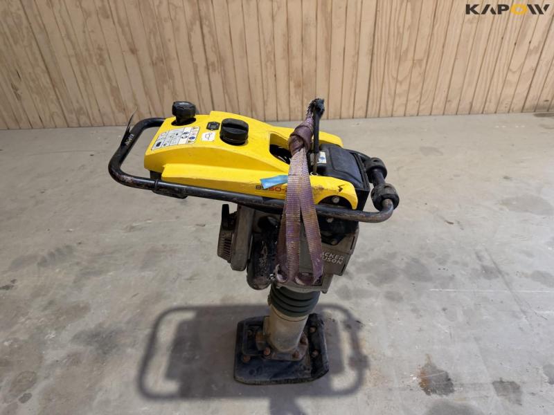 Wacker Neuson BS50-2plus stamper 4