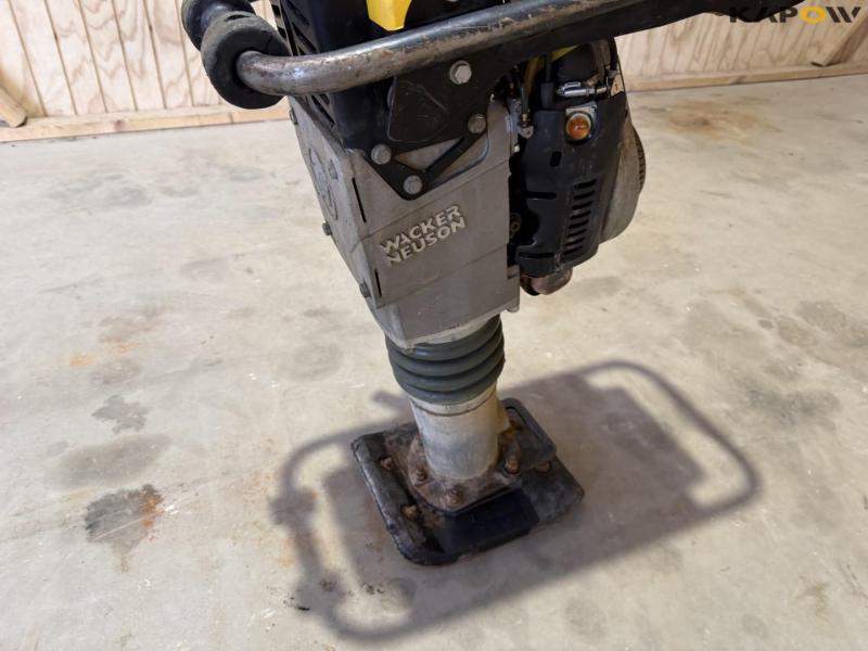 Wacker Neuson BS50-2plus stamper 9