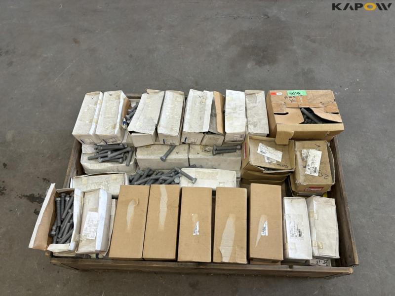 Bolts - Large lot 19