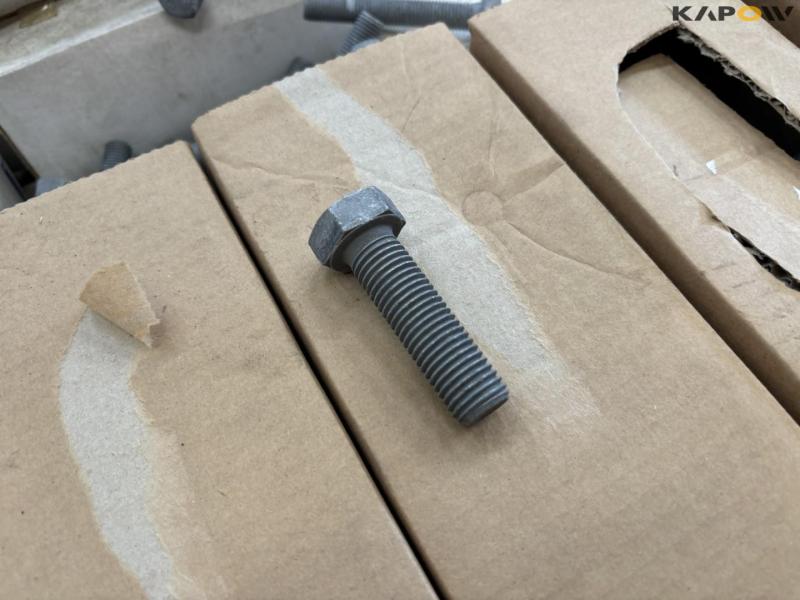 Bolts - Large lot 21