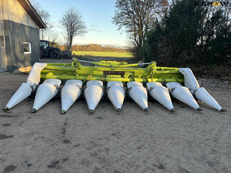 Claas Conspeed 8-75 FC 8-row corn header 2