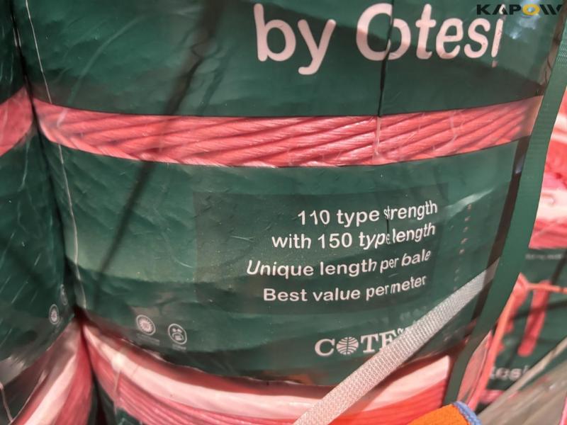 Cotesi twine 10