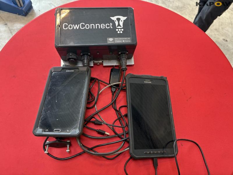CowConnect - Kapow Online Auctions