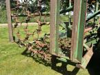 Düvelsdorf grassland harrow 6 meters 22