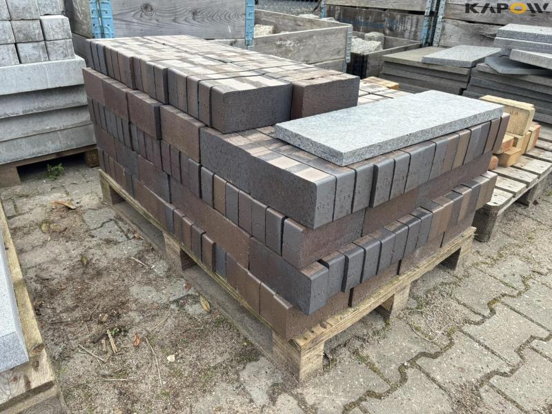 Various paving stones 31