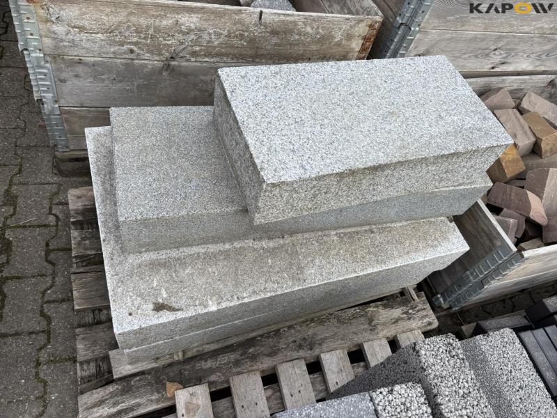 Various paving stones 64