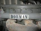 Dorman / Tican Genset 9