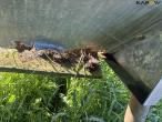 Feed fence with calf shelter 29