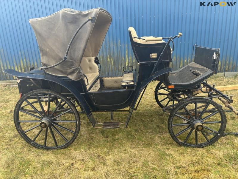 Horse-drawn carriage for two horses 3