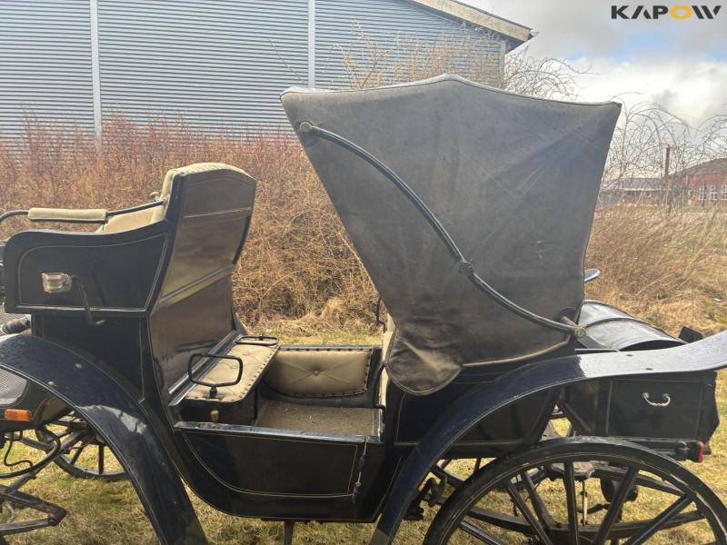 Horse-drawn carriage for two horses 18