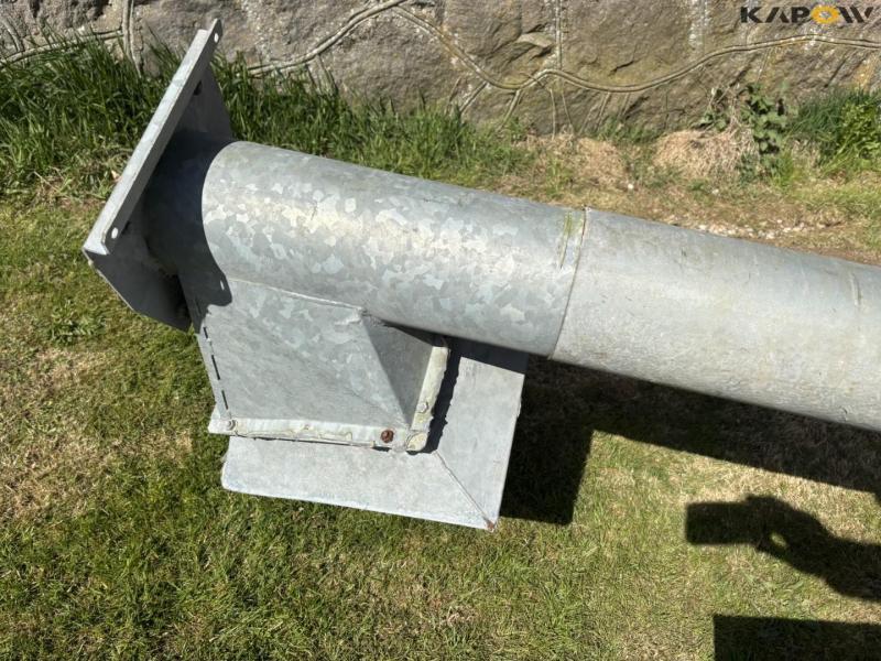 Corn snails - 2 pcs. 9