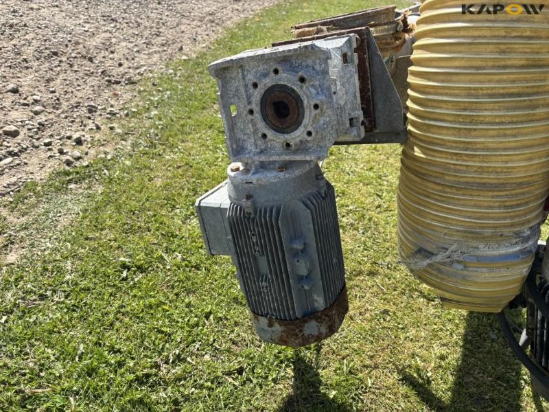 Corn snails - 2 pcs. 29