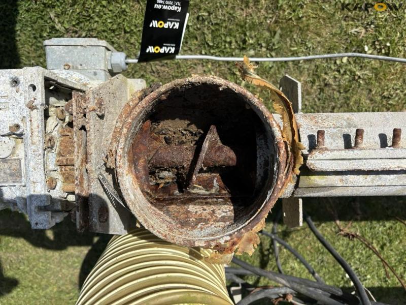 Corn snails - 2 pcs. 35