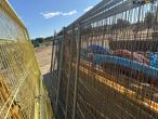 Gates and fences for isolation 18