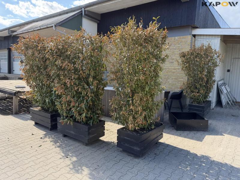 Plant boxes - 4pcs. 1