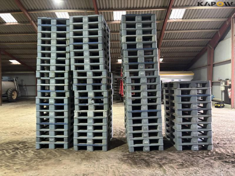 Plastic pallets 4