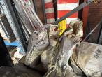 Bagged goods and cans 65