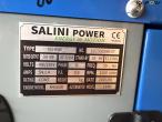 Salini Power VG-R30 generator 24