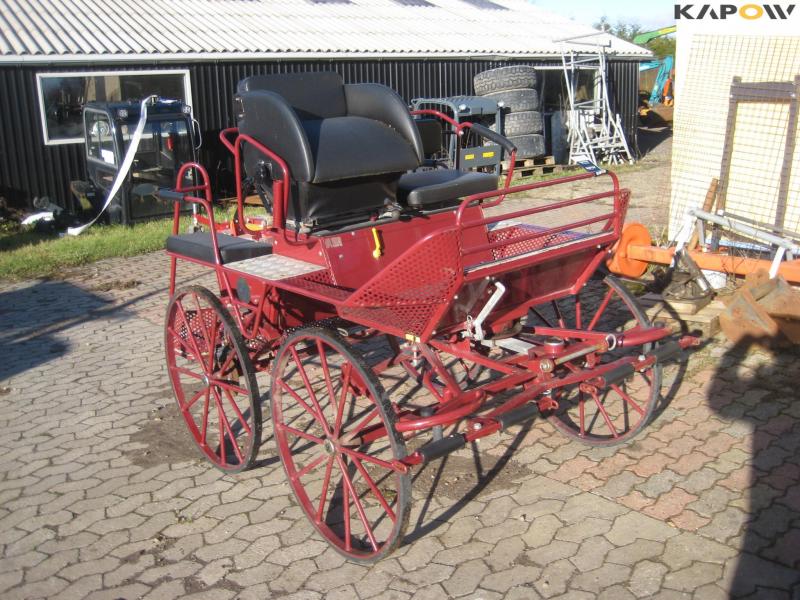 Sierakowski 4-wheeled horse carriage 1