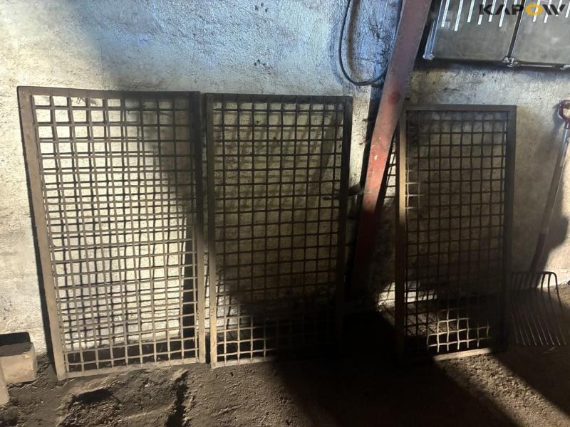 Peeling potato sorting machine 38