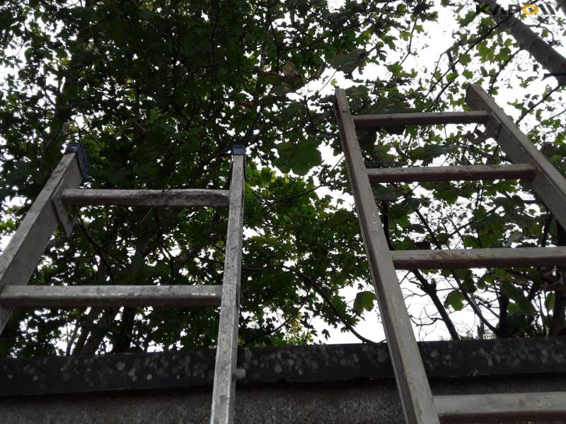 Ladders 22