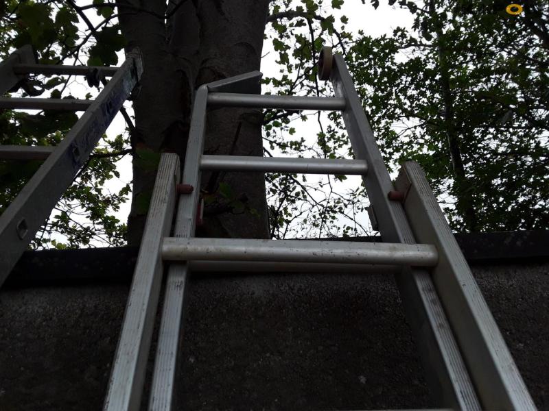 Ladders 32