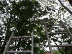 Ladders 23