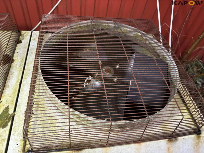 TT Coil ASC cooler 17