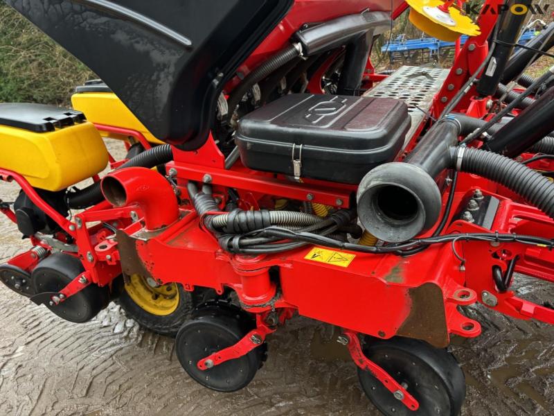 Väderstad Tempo F 8 corn seeder - 8 rows 21