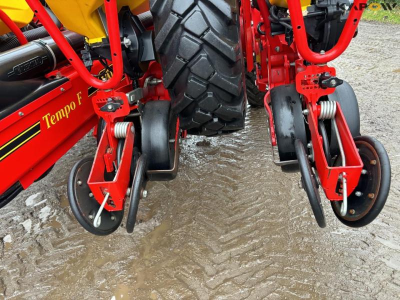 Väderstad Tempo F 8 corn seeder - 8 rows 32