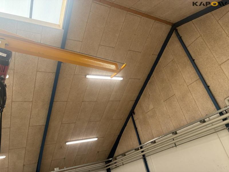 Workshop crane with 500kg Delta hoist 17