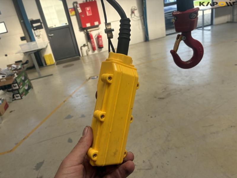 Workshop crane with 500kg Delta hoist 20