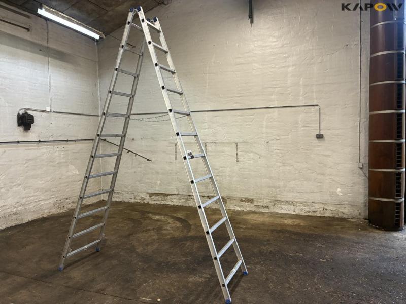 Vienna ladder 1