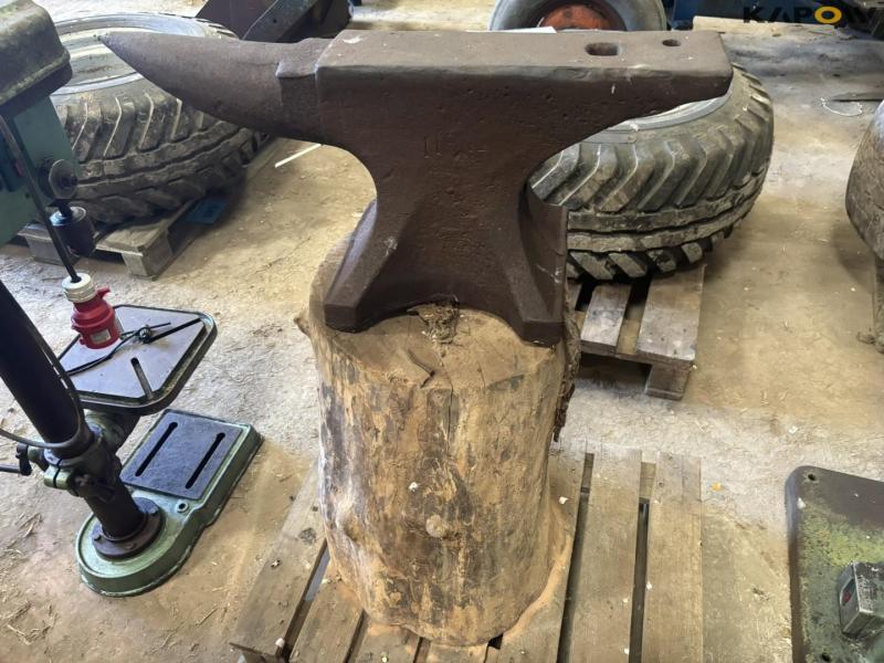 Arm bolt on tree stump 3