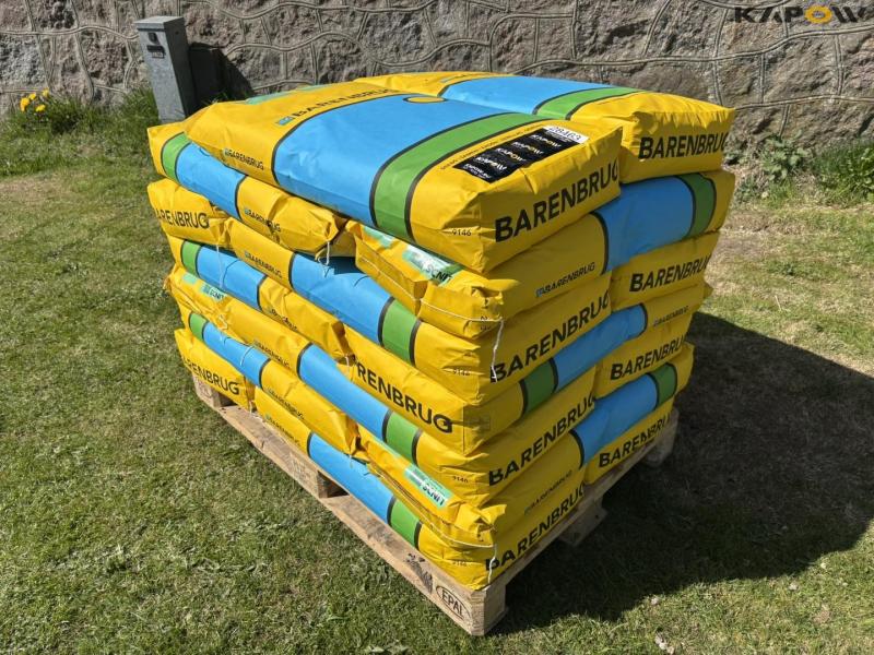 Barenburg standard lawn grass 1