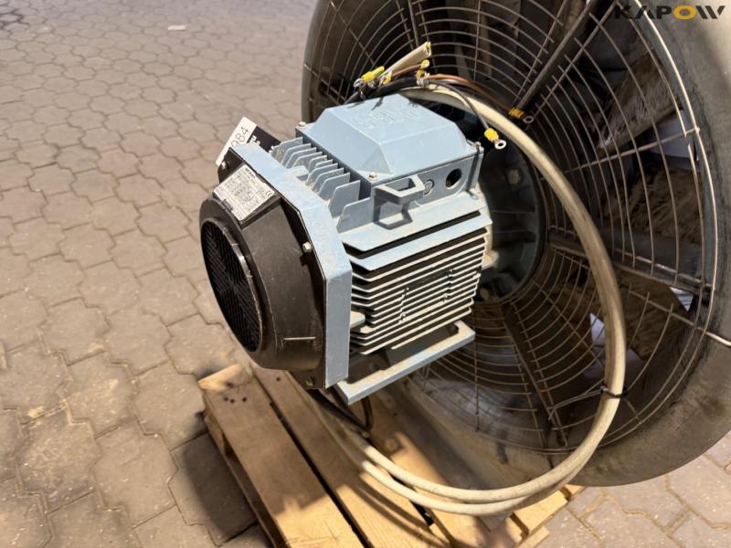 Fan 13