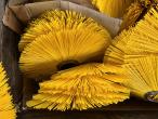 Sweeper brushes 7