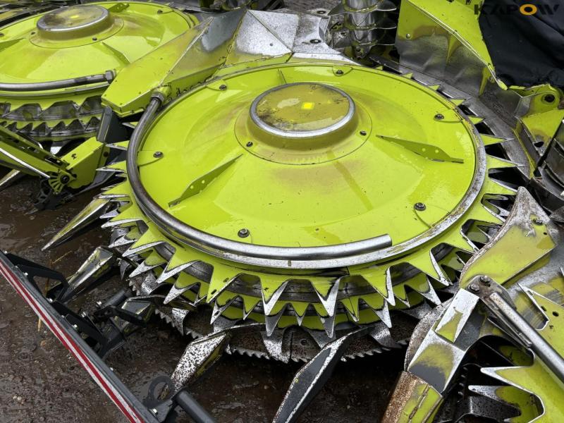 Claas Orbis 750 10 rows corn header 14