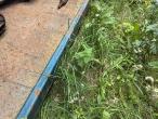 Container with tarpaulin roof and sides 33