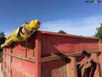 Container 13