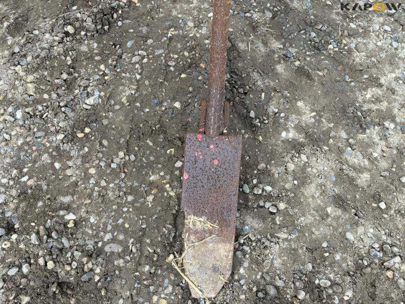 Dankvic 3-tooth cultivator 12